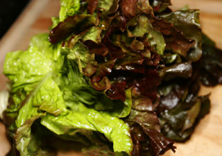 lettuce_red_leaf_lettuce_hd