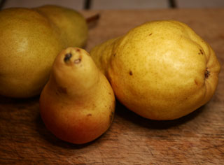 pears_bartlett_pears