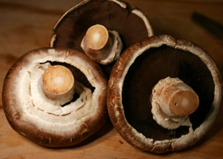 portabella_mushrooms_trio