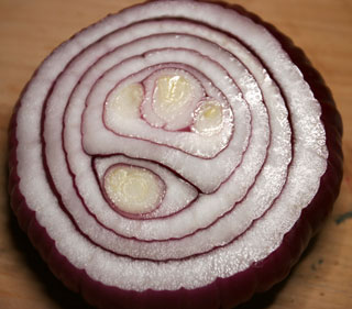 purple_onions_cross_section